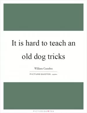 It is hard to teach an old dog tricks Picture Quote #1