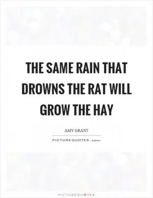 The same rain that drowns the rat will grow the hay Picture Quote #1