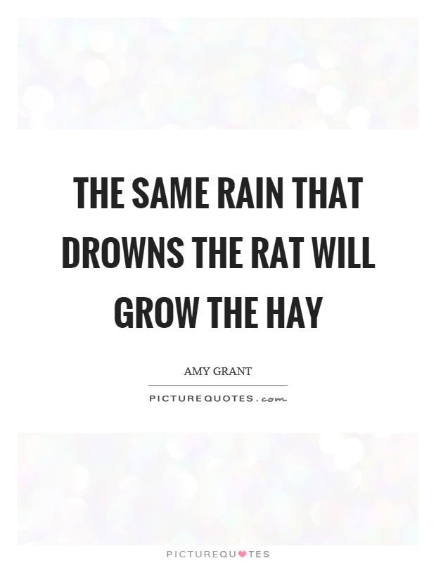 The same rain that drowns the rat will grow the hay Picture Quote #1