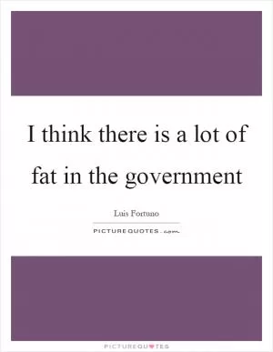 I think there is a lot of fat in the government Picture Quote #1