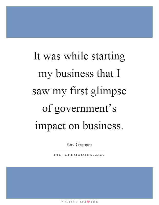 It was while starting my business that I saw my first glimpse of government's impact on business Picture Quote #1