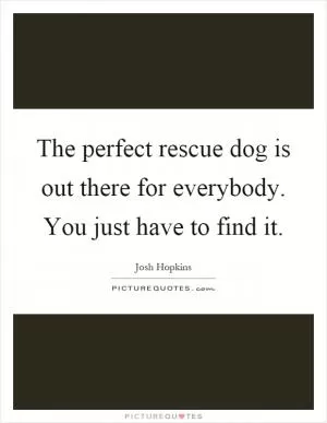 The perfect rescue dog is out there for everybody. You just have to find it Picture Quote #1