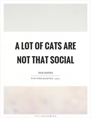 A lot of cats are not that social Picture Quote #1