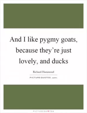 And I like pygmy goats, because they’re just lovely, and ducks Picture Quote #1