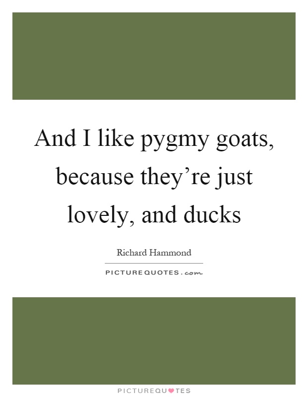And I like pygmy goats, because they're just lovely, and ducks Picture Quote #1
