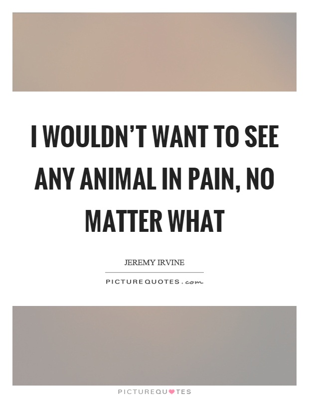 I wouldn't want to see any animal in pain, no matter what Picture Quote #1