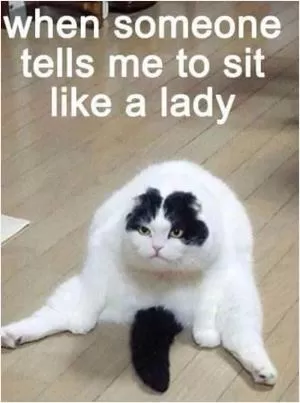 When someone tells me to sit like a lady Picture Quote #1
