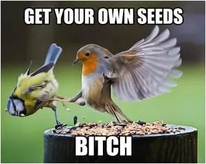 Get your own seeds bitch Picture Quote #1