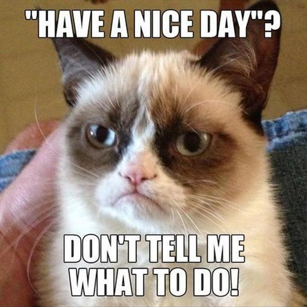 “Have a nice day”? Don't tell me what to do! Picture Quote #1
