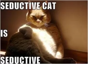 Seductive cat is seductive Picture Quote #1