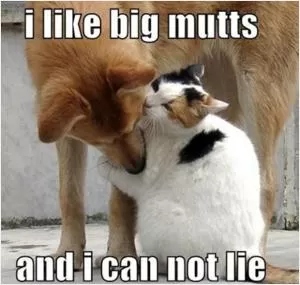 I like big mutts and I can not lie Picture Quote #1
