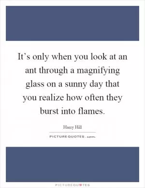 It’s only when you look at an ant through a magnifying glass on a sunny day that you realize how often they burst into flames Picture Quote #1