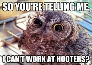 So you’re telling me, I can’t work at hooters? Picture Quote #1