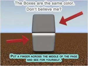 The boxes are the same color. Don’t believe me? Put a finger across the middle of the page and see for yourself Picture Quote #1