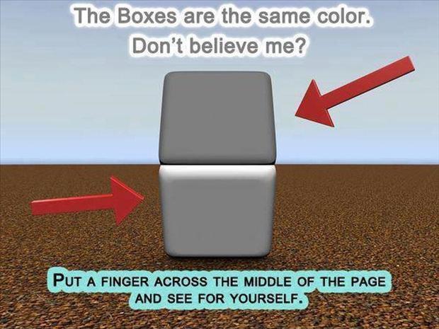 The boxes are the same color. Don't believe me? Put a finger across the middle of the page and see for yourself Picture Quote #1
