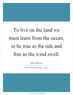 To live on the land we must learn from the ocean, to be true as the tide and free as the wind swell Picture Quote #1