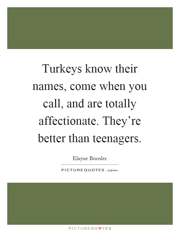 Turkeys know their names, come when you call, and are totally affectionate. They're better than teenagers Picture Quote #1