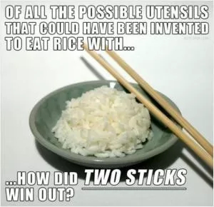 Of all the possible utensils that could have been invented to eat rice with... how did two sticks win out? Picture Quote #1