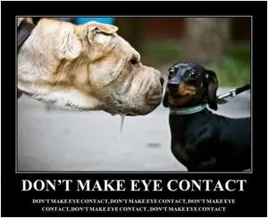 Don’t make eye contact. Don’t make eye contact. Don’t make eye contact. Don’t make eye contact. Don’t make eye contact. Don’t make eye contact Picture Quote #1