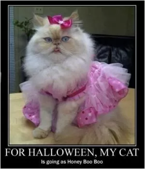 For Halloween, my cat is going as Honey Boo Boo Picture Quote #1