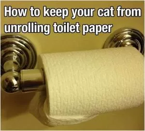 How to keep your cat from unrolling toilet paper Picture Quote #1