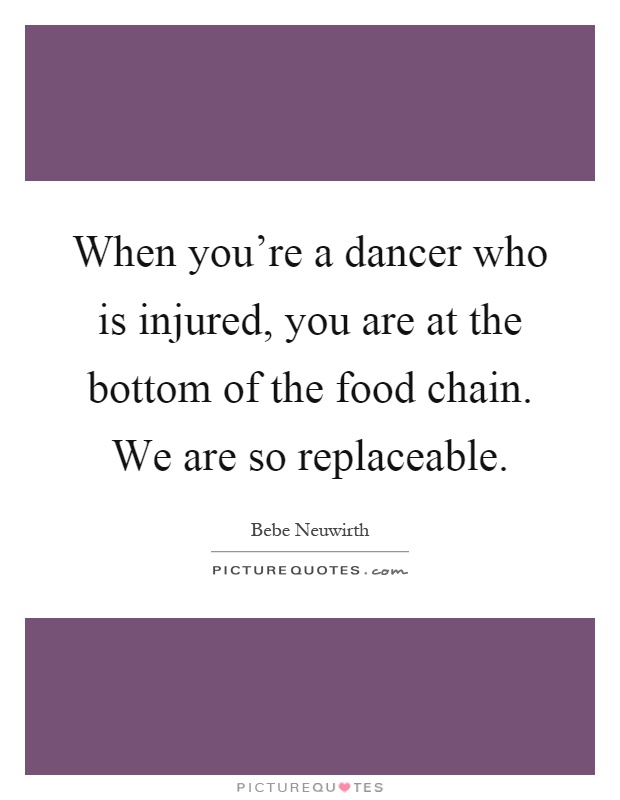 When you're a dancer who is injured, you are at the bottom of the food chain. We are so replaceable Picture Quote #1