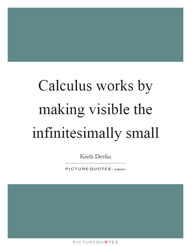 Calculus works by making visible the infinitesimally small Picture Quote #1