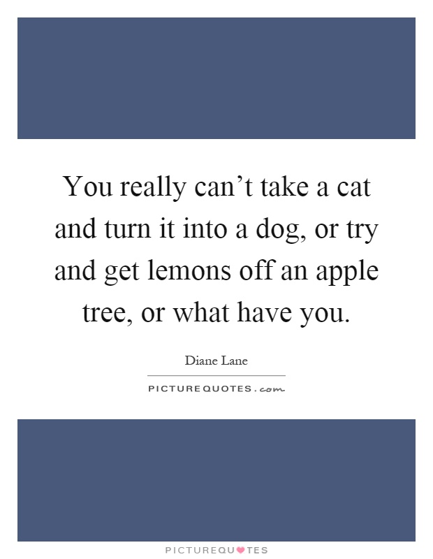 You really can't take a cat and turn it into a dog, or try and get lemons off an apple tree, or what have you Picture Quote #1