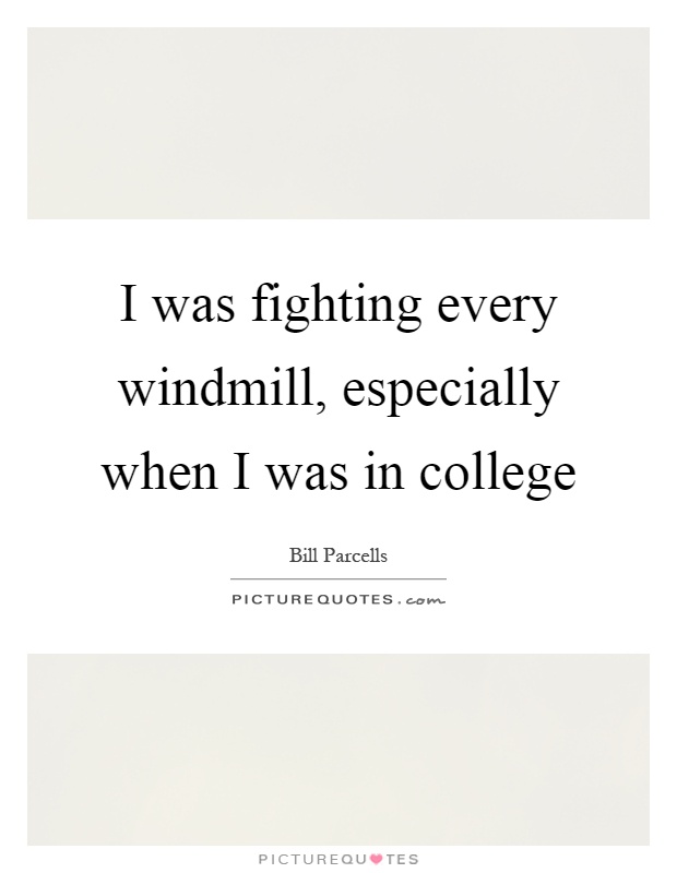 I was fighting every windmill, especially when I was in college Picture Quote #1
