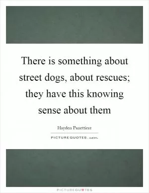 There is something about street dogs, about rescues; they have this knowing sense about them Picture Quote #1