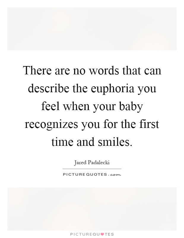 There are no words that can describe the euphoria you feel when your baby recognizes you for the first time and smiles Picture Quote #1
