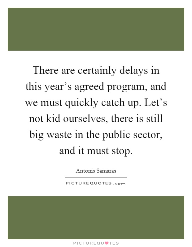 There are certainly delays in this year's agreed program, and we must quickly catch up. Let's not kid ourselves, there is still big waste in the public sector, and it must stop Picture Quote #1