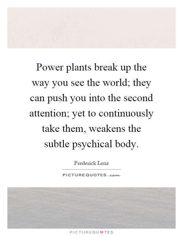 Power plants break up the way you see the world; they can push you into the second attention; yet to continuously take them, weakens the subtle psychical body Picture Quote #1