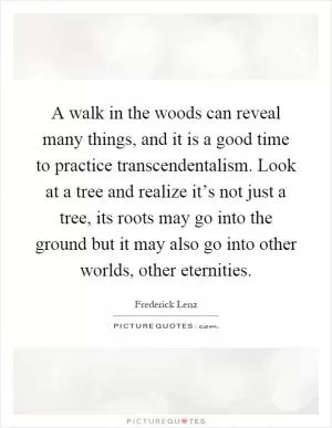 A walk in the woods can reveal many things, and it is a good time to practice transcendentalism. Look at a tree and realize it’s not just a tree, its roots may go into the ground but it may also go into other worlds, other eternities Picture Quote #1