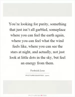 You’re looking for purity, something that just isn’t all garbled, someplace where you can feel the earth again, where you can feel what the wind feels like, where you can see the stars at night, and actually, not just look at little dots in the sky, but feel an energy from them Picture Quote #1