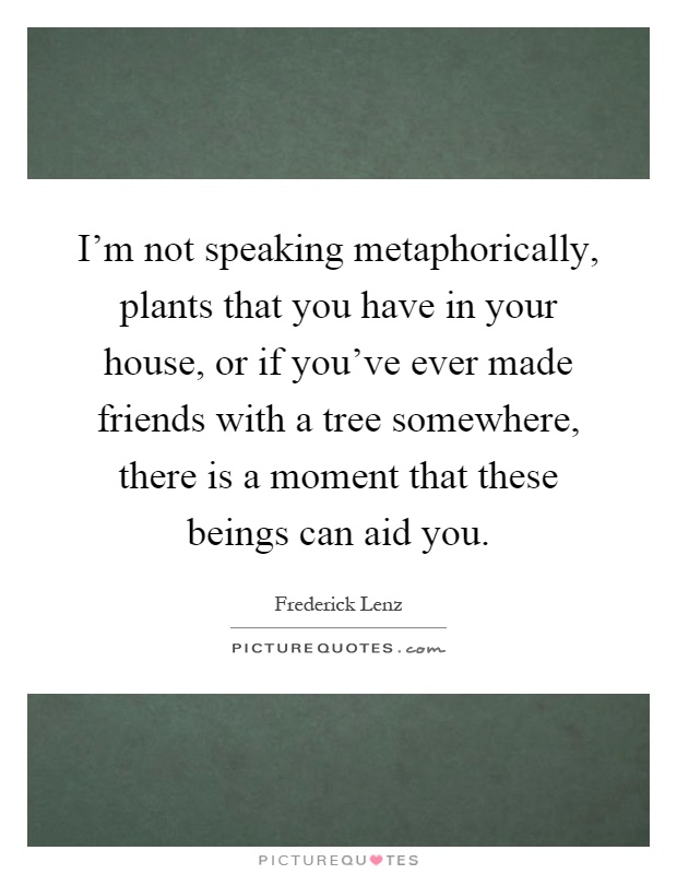 I'm not speaking metaphorically, plants that you have in your house, or if you've ever made friends with a tree somewhere, there is a moment that these beings can aid you Picture Quote #1