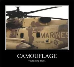Camouflage. You’re doing it right Picture Quote #1