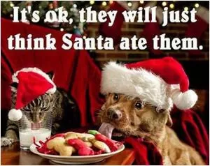 It’s ok, they will just think Santa ate them Picture Quote #1