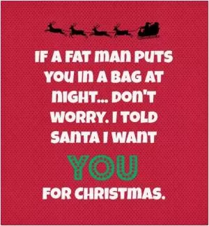 If a fat man puts you in a bag at night... don’t worry. I told Santa I want YOU for Christmas Picture Quote #1