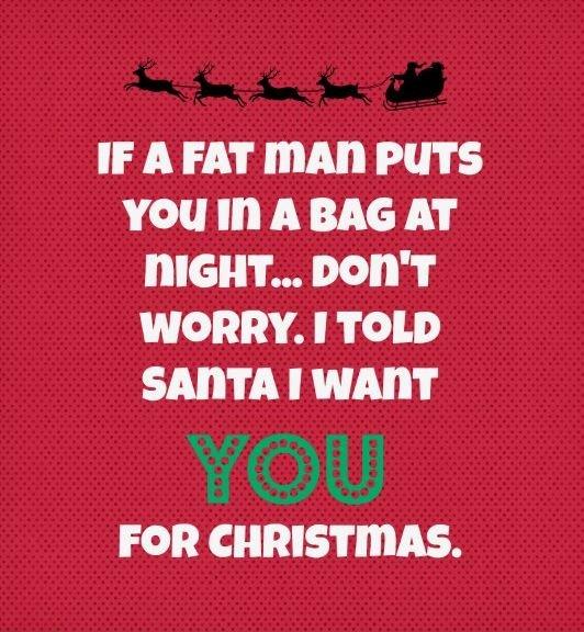 If a fat man puts you in a bag at night... don't worry. I told Santa I want YOU for Christmas Picture Quote #1
