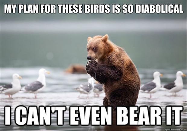 My plan for these birds is so diabolical I can't even bear it Picture Quote #1