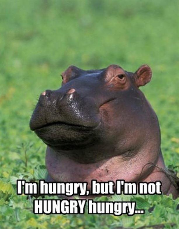 I'm hungry, but I'm not HUNGRY hungry Picture Quote #1