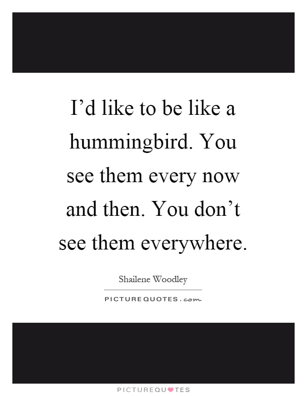 I'd like to be like a hummingbird. You see them every now and then. You don't see them everywhere Picture Quote #1