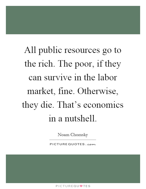 All public resources go to the rich. The poor, if they can survive in the labor market, fine. Otherwise, they die. That's economics in a nutshell Picture Quote #1