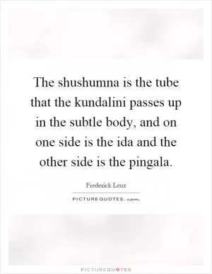 The shushumna is the tube that the kundalini passes up in the subtle body, and on one side is the ida and the other side is the pingala Picture Quote #1