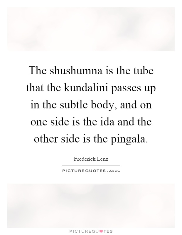 The shushumna is the tube that the kundalini passes up in the subtle body, and on one side is the ida and the other side is the pingala Picture Quote #1