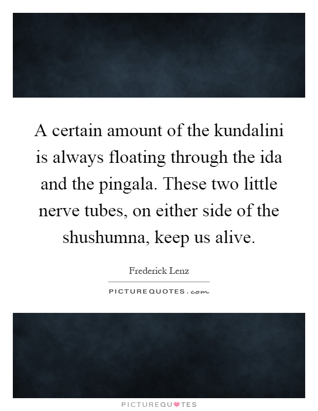 A certain amount of the kundalini is always floating through the ida and the pingala. These two little nerve tubes, on either side of the shushumna, keep us alive Picture Quote #1