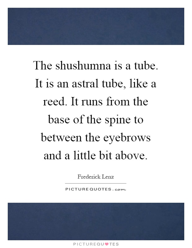 The shushumna is a tube. It is an astral tube, like a reed. It runs from the base of the spine to between the eyebrows and a little bit above Picture Quote #1