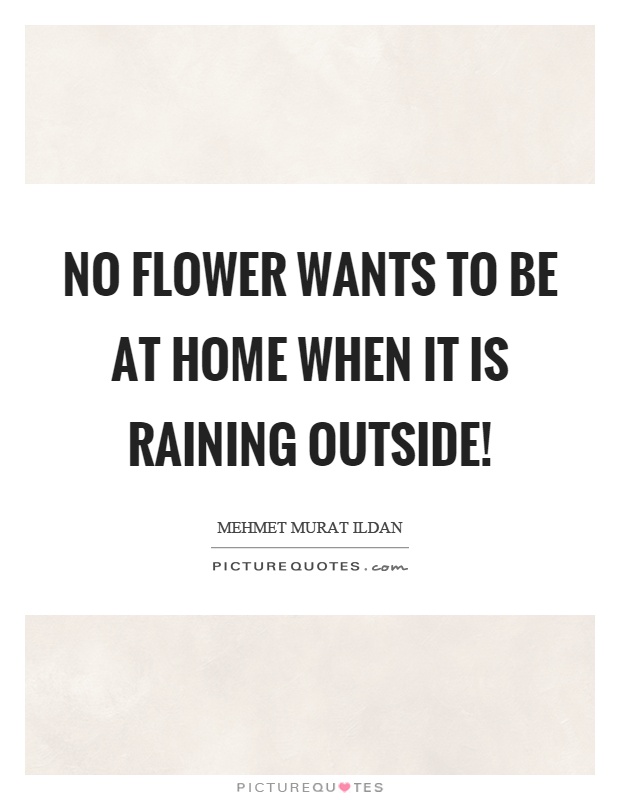 No flower wants to be at home when it is raining outside! Picture Quote #1