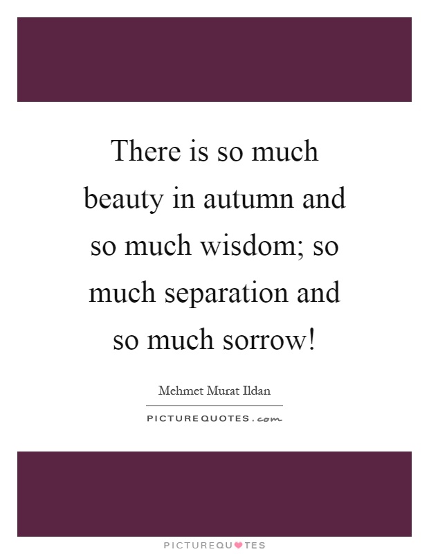 There is so much beauty in autumn and so much wisdom; so much separation and so much sorrow! Picture Quote #1